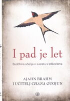 I pad je let