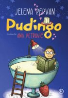 Pudingo