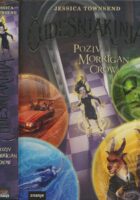 Čudesnjakinja : poziv Morrigan Crow