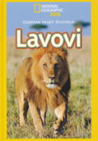 Lavovi